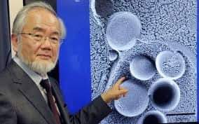 Shkencëtari japonez: Agjërimi I Ramazanit parandalon kancerin.