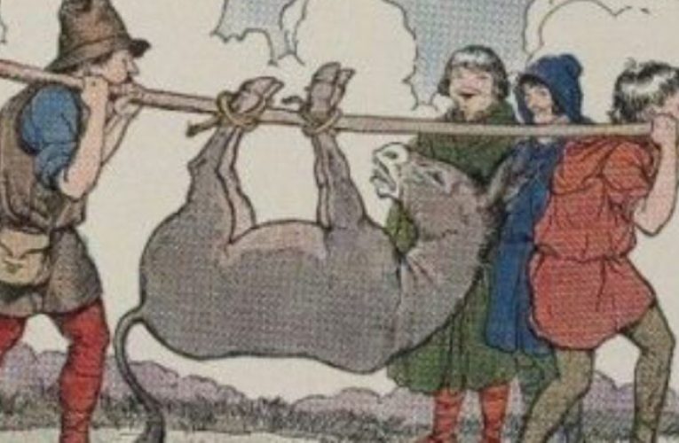 Интересна приказна: земјоделец, момчето и магарето