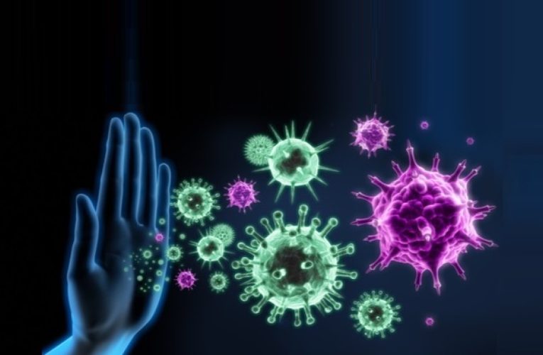 Shkencëtarët thonë se agjërimi rigjeneron sistemin imunitar